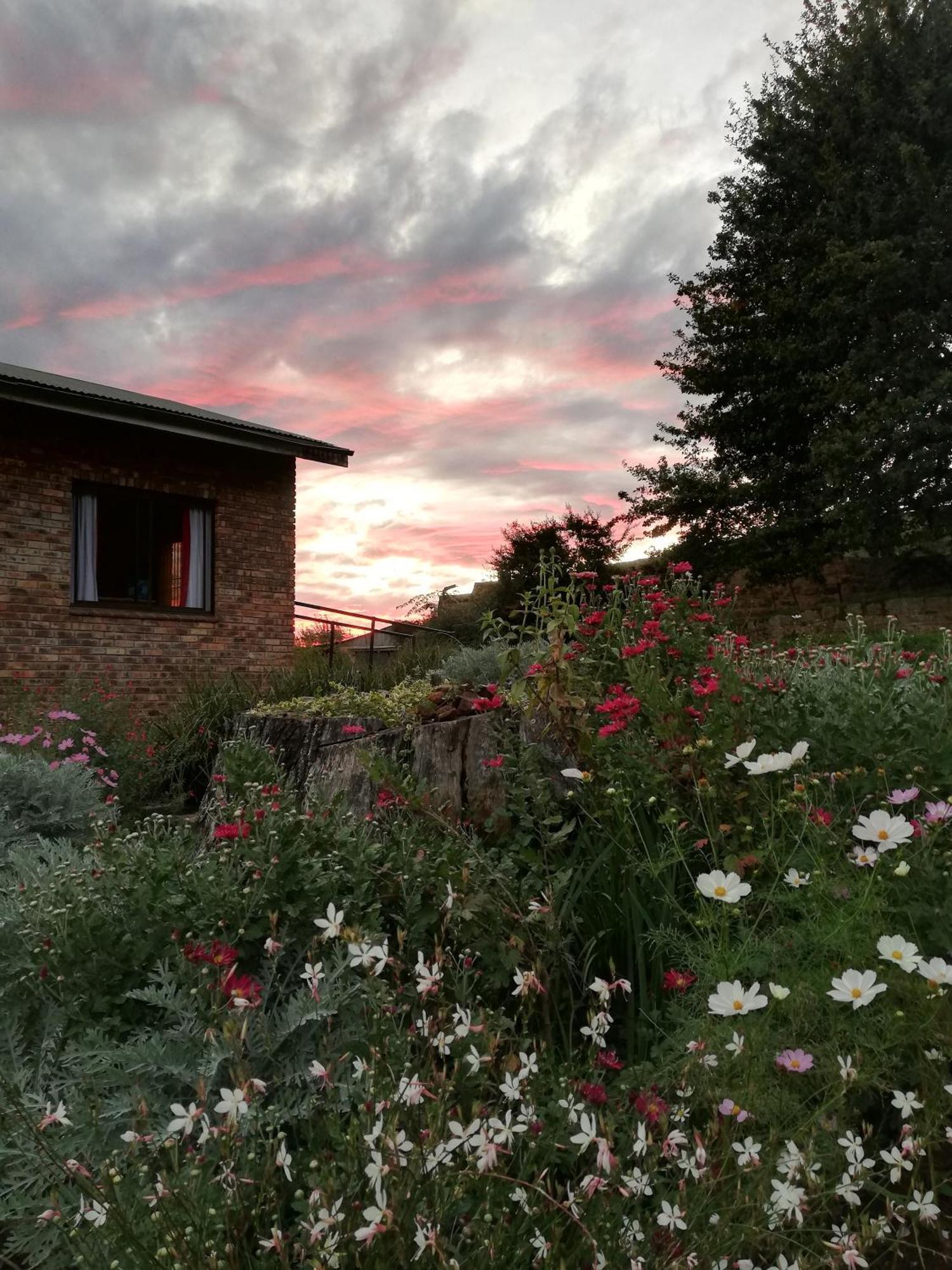Sheeprun Farmstay Maclear Exterior photo